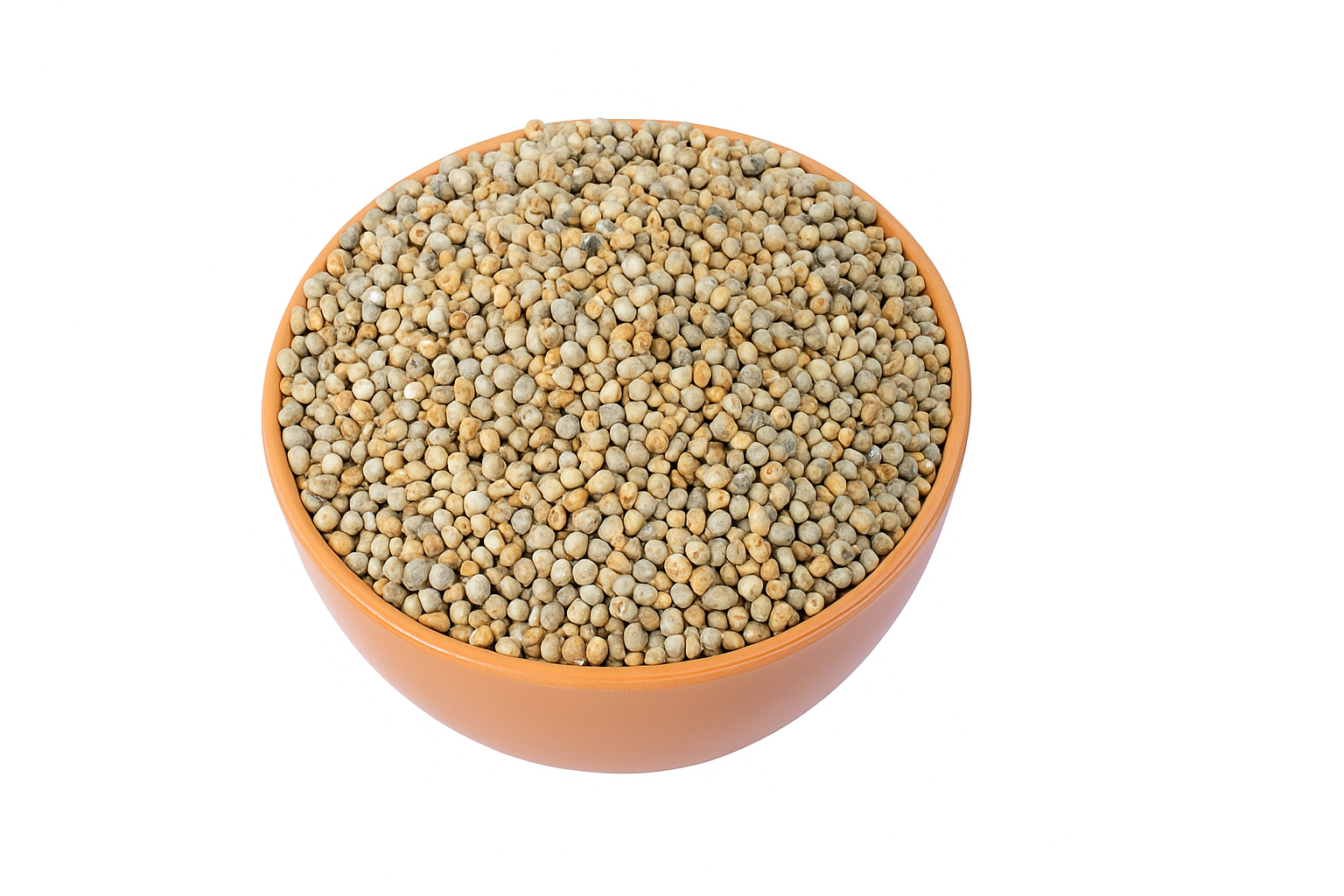 Pearl Millet (Bajra)